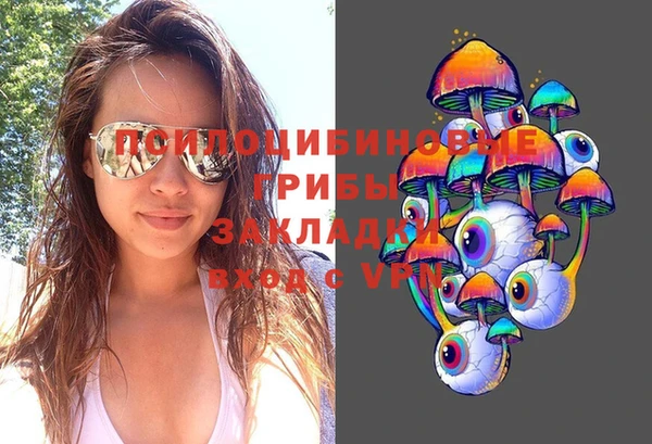 скорость Бородино