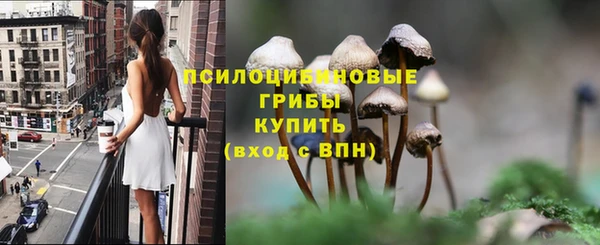 мяу мяу мука Сосновка