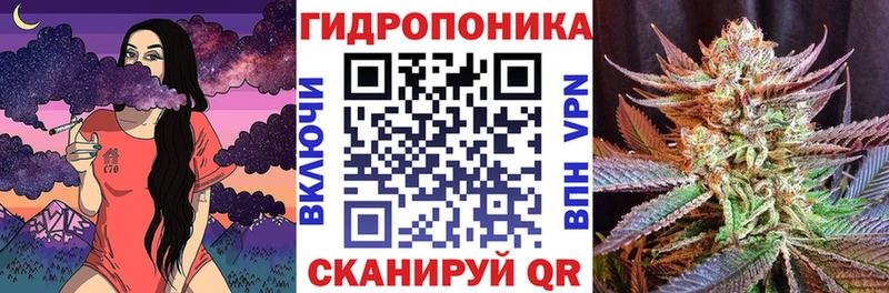 omg рабочий сайт  купить наркотики цена  Верхний Тагил  Канабис AK-47 